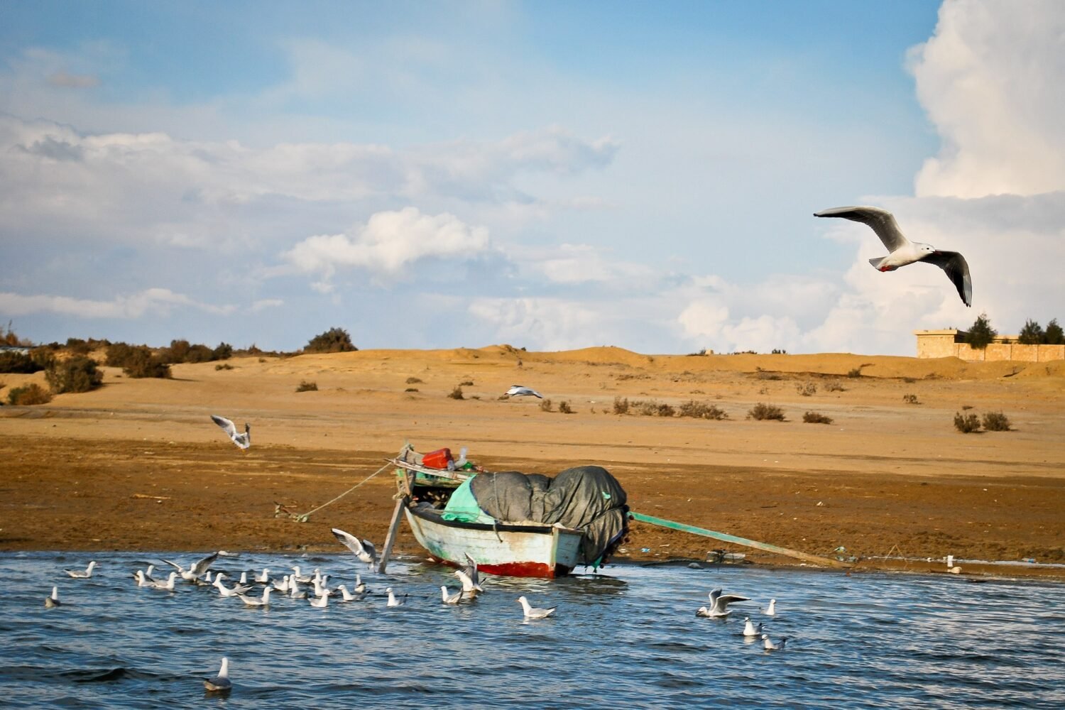 Fayoum