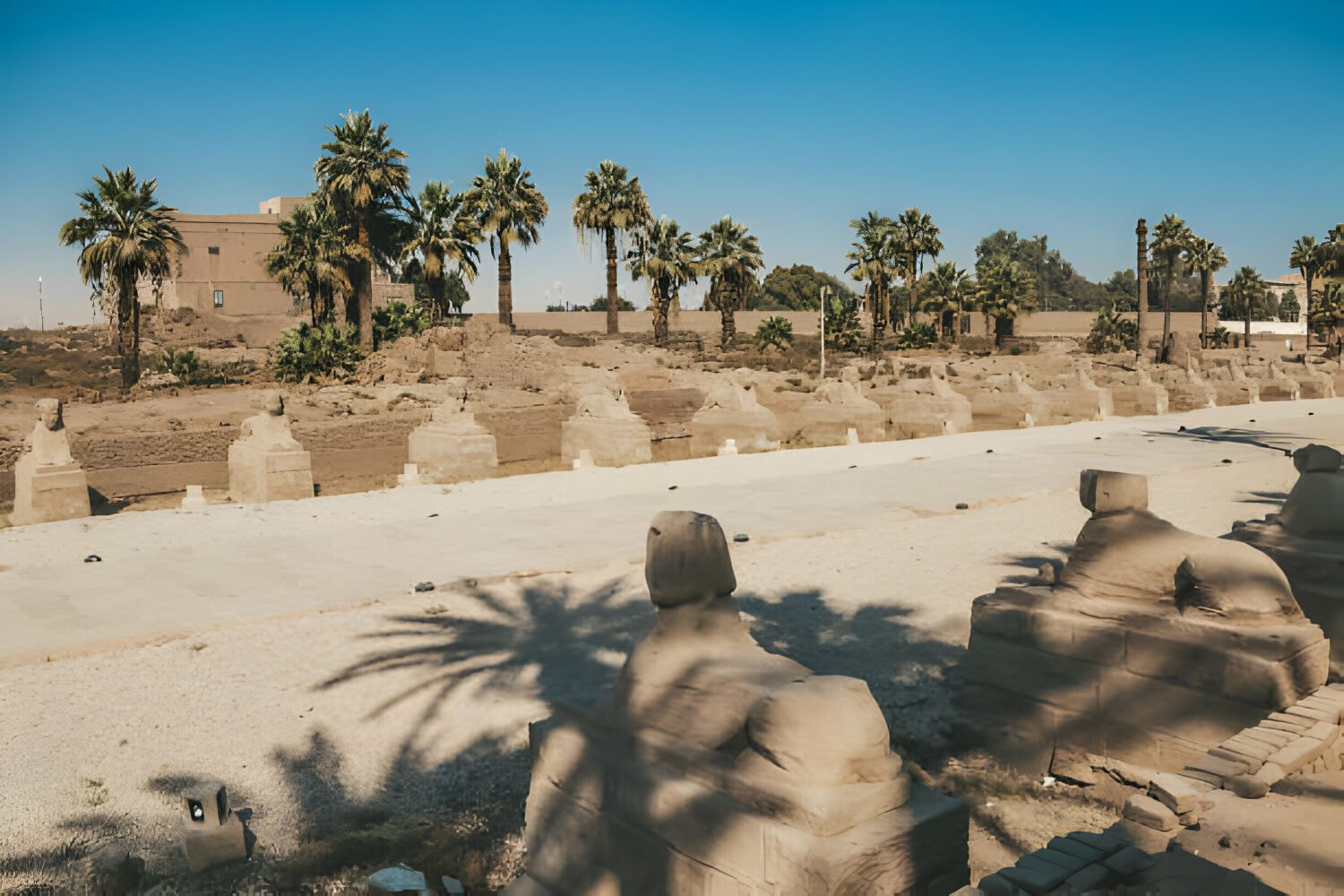 Valley of the kings Luxor